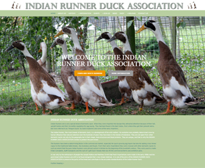 Indian Runner Duck Association